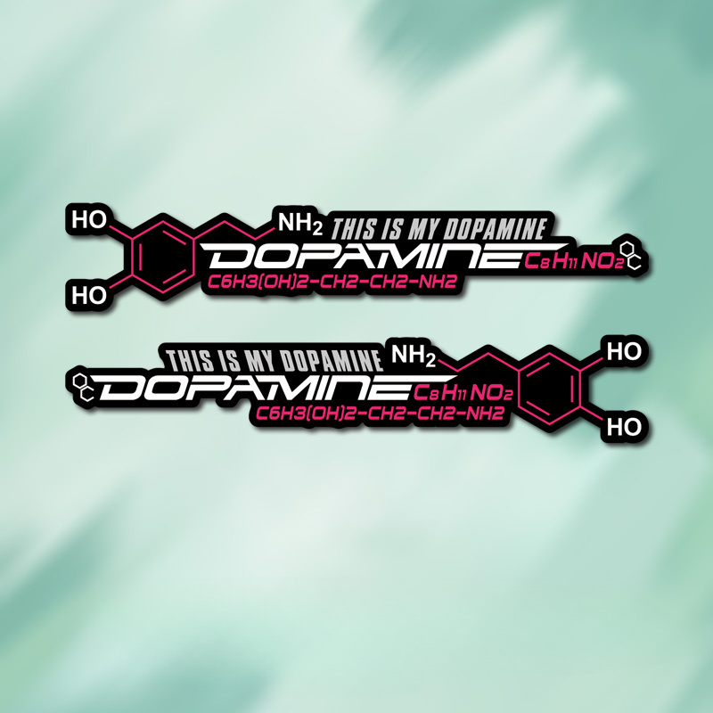 2pcs 도파민 분자 사이클링 프레임 스티커-도로 자전 - Home Decor Dopamine 리뷰 및 가격