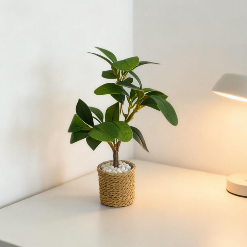 1/6 인형집 시뮬레이션 녹색 식물 화분 모델 인형집  - Home Decor Green 리뷰 및 가격